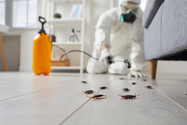 Commercial Kitchen Cockroach Control in Talty